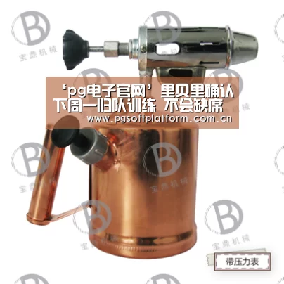 pg电子模拟器