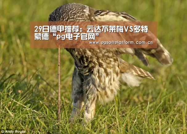 29日德甲推荐:云达不莱梅VS多特蒙德“pg电子官网”(图1) pg电子模拟器