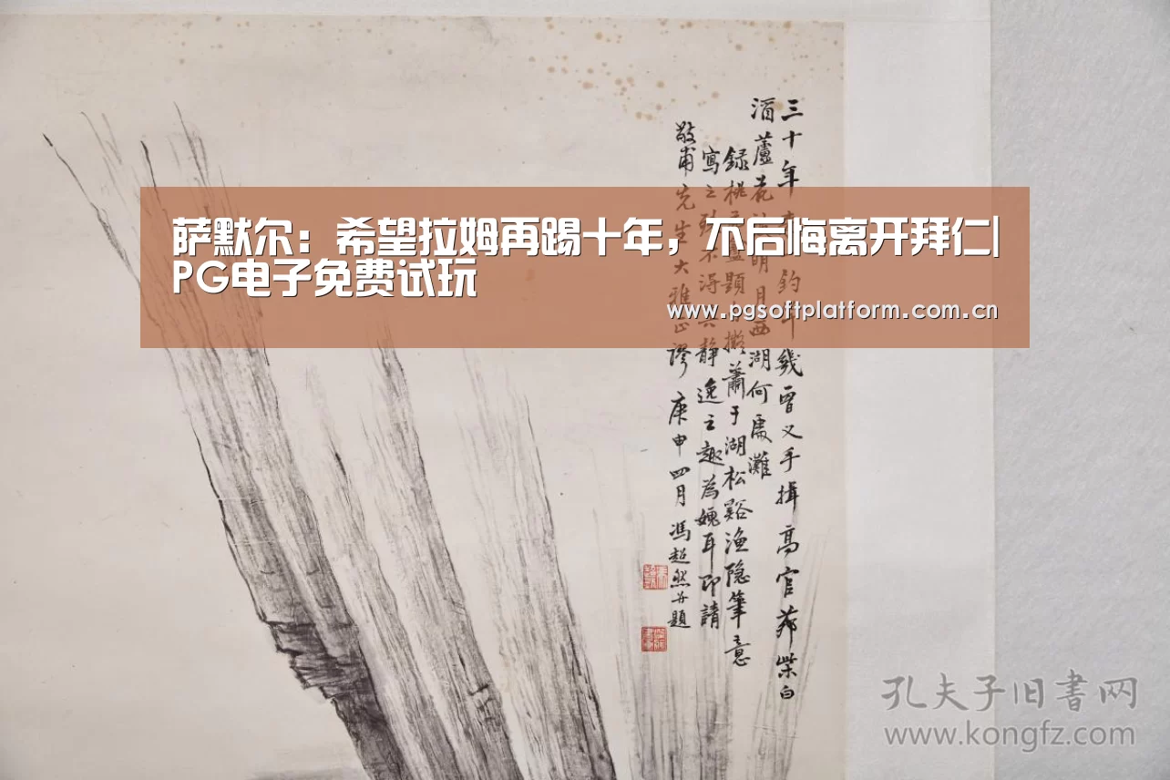 pg模拟器