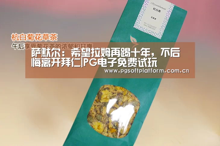 pg电子模拟器