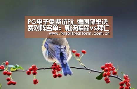 pg电子官网