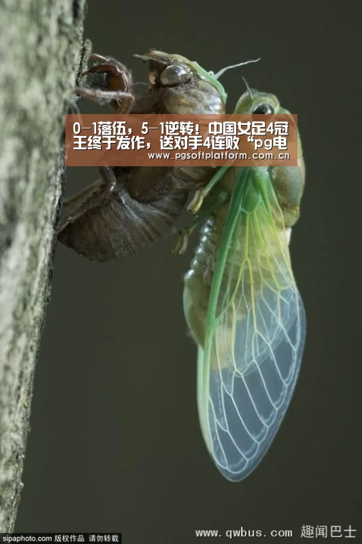 pg电子官网