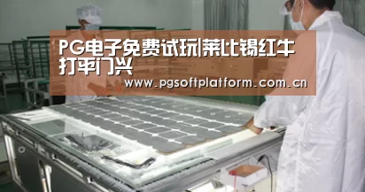 pg电子官网